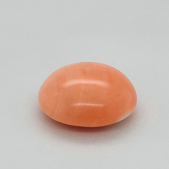 Coral (Moonga) 5.78 Ct Gem Quality Coral (Moonga) 5.78 Ct Gem Quality